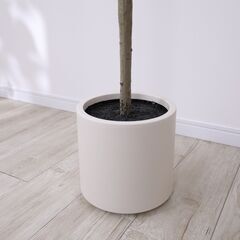 【新品同様】【大型】リアル 光触媒 フェイクグリーン  オリーブ 高さ約195cmの画像