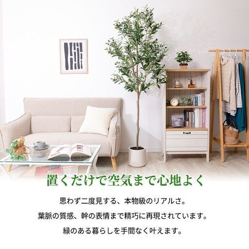 【新品同様】【大型】リアル 光触媒 フェイクグリーン  オリーブ 高さ約195cm