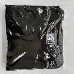 Champion   ロングTシャツ　50の画像