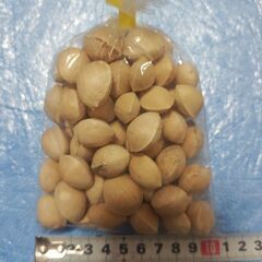 銀杏(★できれば12/25(木)までの取引でお願いしたいです)の画像