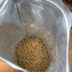 ウサギ　シニア用フードの画像