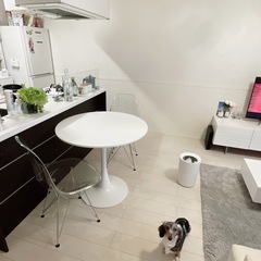 カフェテーブル、クリアチェアの画像