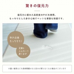 プレイマット　ペットマットの画像