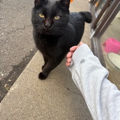 小さな体のじじ