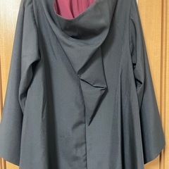 【美品】スタジオツアー公式 グリフィンドール ローブの画像