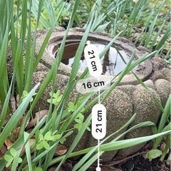 手洗い鉢、手水鉢の画像