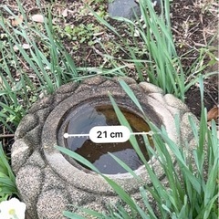 手洗い鉢、手水鉢の画像