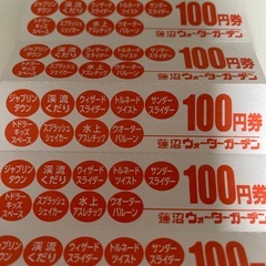 蓮沼ウォーターガーデン🏖️¥1200分チケットの画像