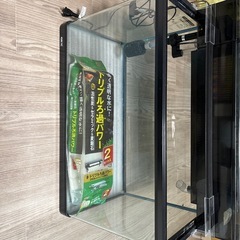 ＧＥＸ　ラピレスＲＶ６０ＧＴ　60センチ　の画像