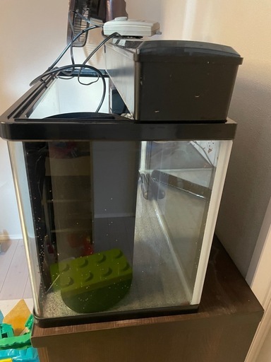 60cm水槽
