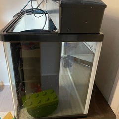 60cm水槽の画像