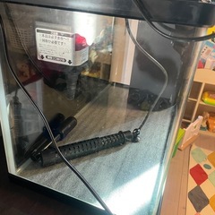 60cm水槽の画像