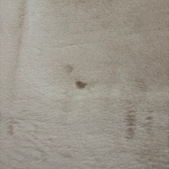 ベージュ　座椅子の画像