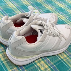 美原店 ザ・ノースフェイス トラバースTR スニーカー THENORTHFACE　24.5㎝ の画像