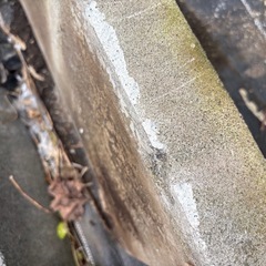 (無料)コンクリート平板の画像