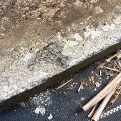 (無料)コンクリート平板の画像