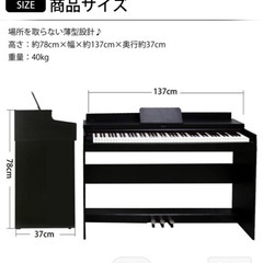 電子ピアノ CARINAの画像