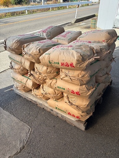 【年末特価!!残り4袋】7年産新潟コシヒカリ2等30kg】