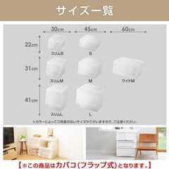 【美品×2個セット】 フラップ扉式収納ボックス、プラケース、クリアケース、衣装ケース 【サイズM/幅45×奥行42×高さ31cm】の画像