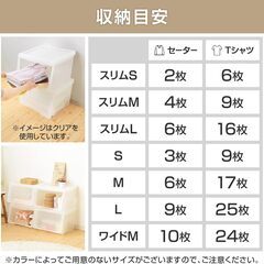 【美品×2個セット】 フラップ扉式収納ボックス、プラケース、クリアケース、衣装ケース 【サイズM/幅45×奥行42×高さ31cm】の画像