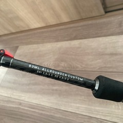 エギングロッド　リールの画像