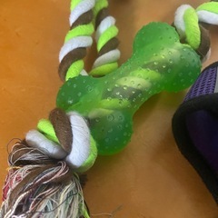 ペットハーネスMと犬用おもちゃの画像