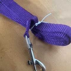 ペットハーネスMと犬用おもちゃの画像