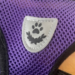 ペットハーネスMと犬用おもちゃの画像