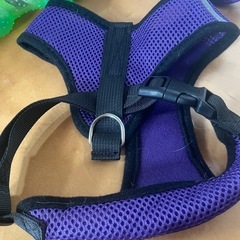 ペットハーネスMと犬用おもちゃの画像
