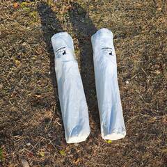 キャンプチェア　２脚セット　キャプテンスタッグの画像