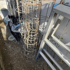 クレマチス トレリス。植木鉢各種の画像