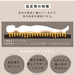 折りたたみベッド シングルの画像