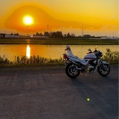 バリオス250 1型の画像