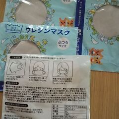 マスク12枚とポインコのマスクケースの画像