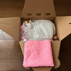 【新品未開封】呼吸して眠るリアルな猫のぬいぐるみの画像