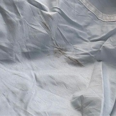 Coleman Tough Screen 2-Room House+の画像