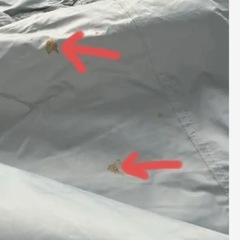 Coleman Tough Screen 2-Room House+の画像