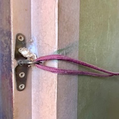 油彩　額　F25号サイズの画像