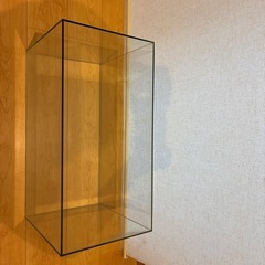 水槽の画像