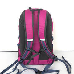 ss8185　コロンビア バックパック ピンク 20L Colombia 登山リュック Castle Rock20 アウトドア ザック レインカバー付 キャッスルロック 鞄 バッグ リュックサック 中古の画像