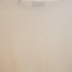 DIESEL ロンTシャツの画像