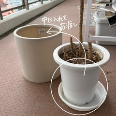 丸いプランターの画像