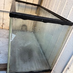 水槽の画像