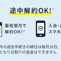 チョコザップ　毎月半額　優待　chocoZAP の画像