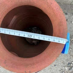 植木鉢右の小さなテラコッタの画像