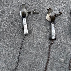 トラバサミ6個、解体用フック4個の画像