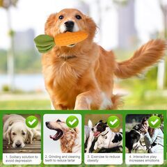 犬用オモチャの画像