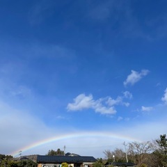 R7年産　ひとめぼれ白米　5kg 3700円　の画像