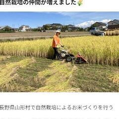 複数原料米(新米、古古米ミックス)の画像