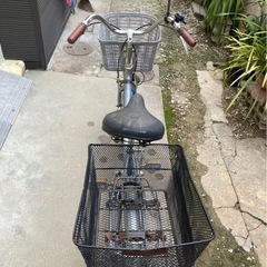 母親が乗ってました、自転車の画像